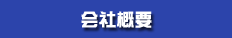 ЊTv